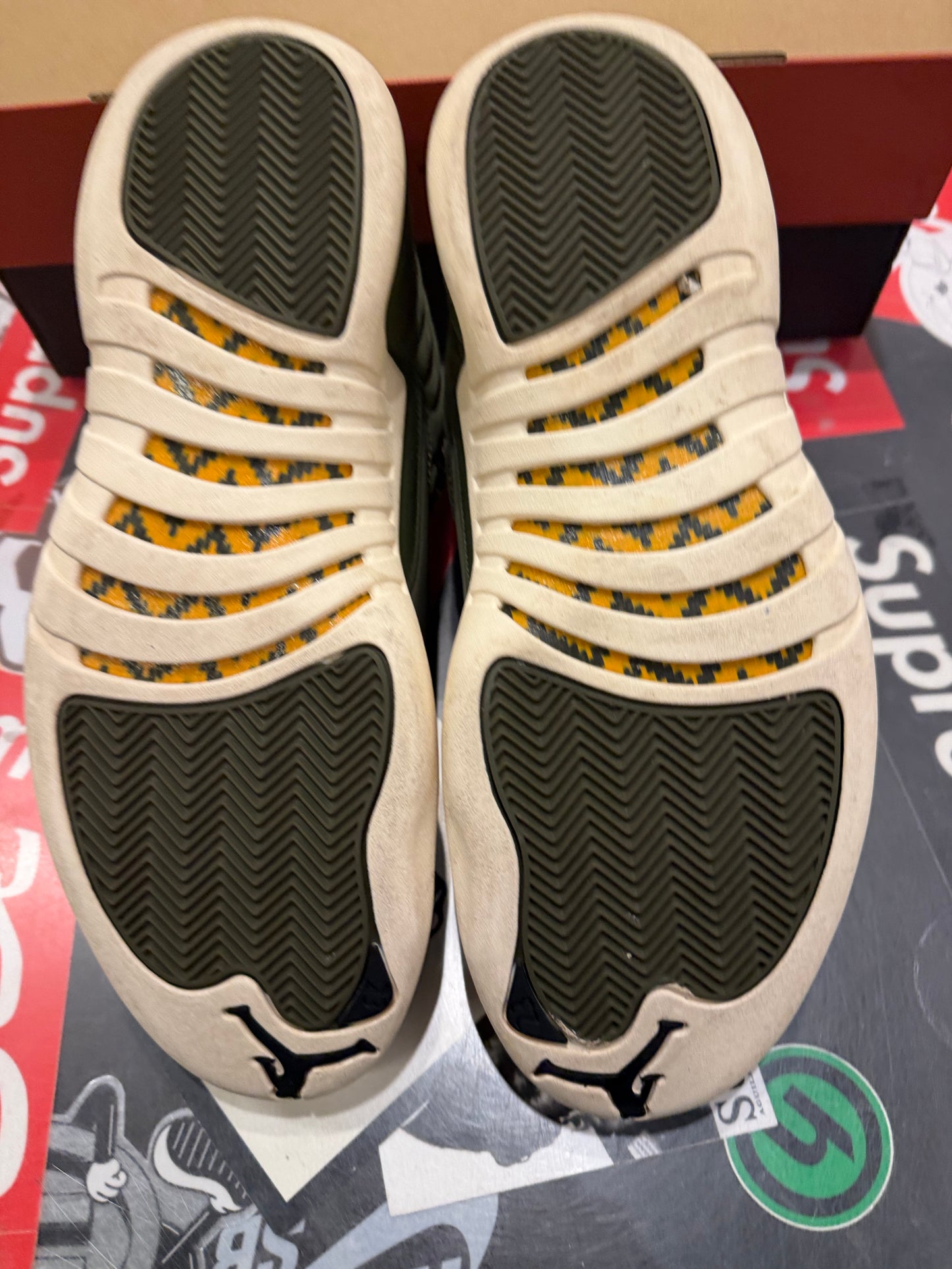 Jordan 12 CP3