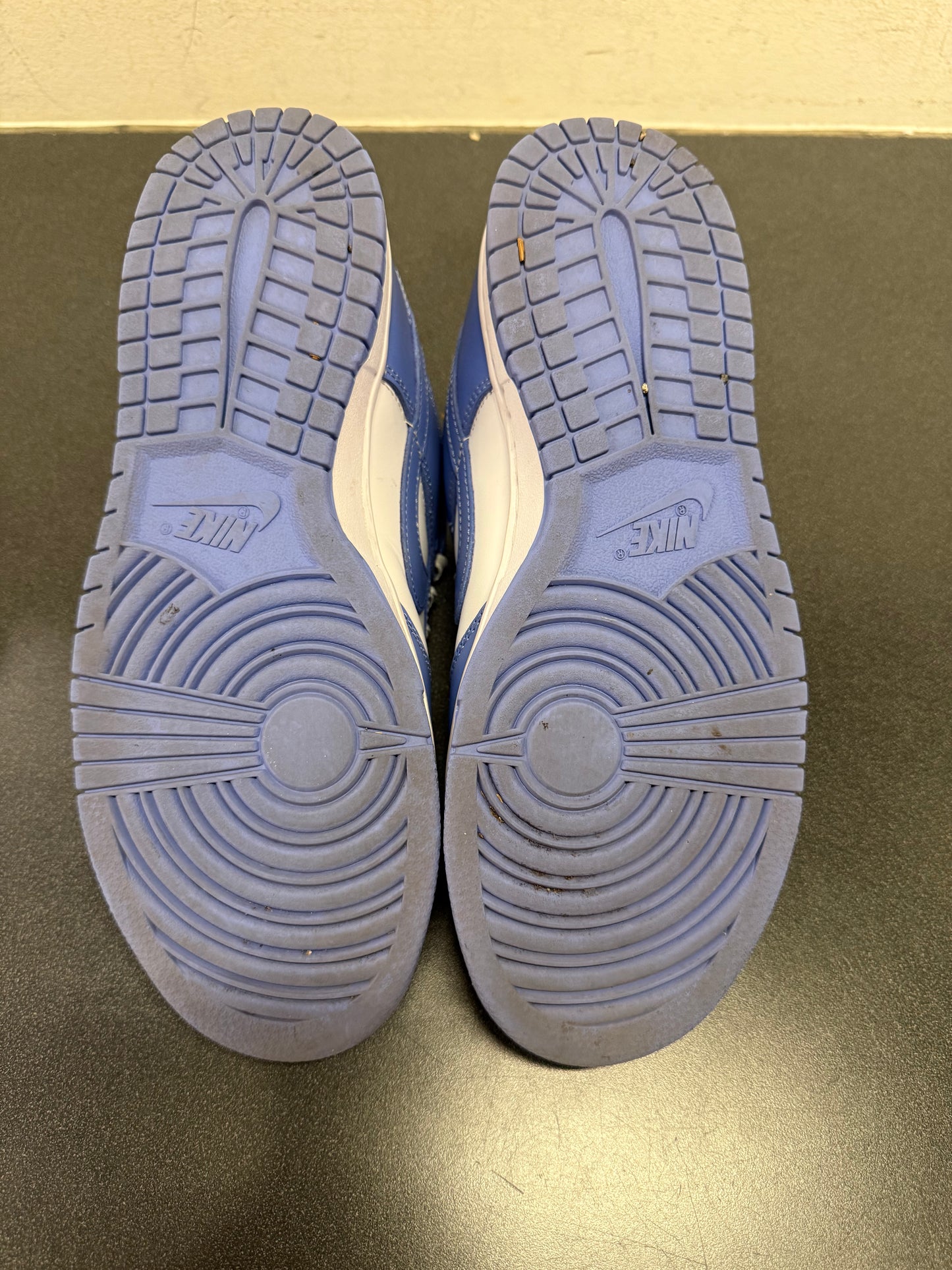 Dunk Low Polar Blue