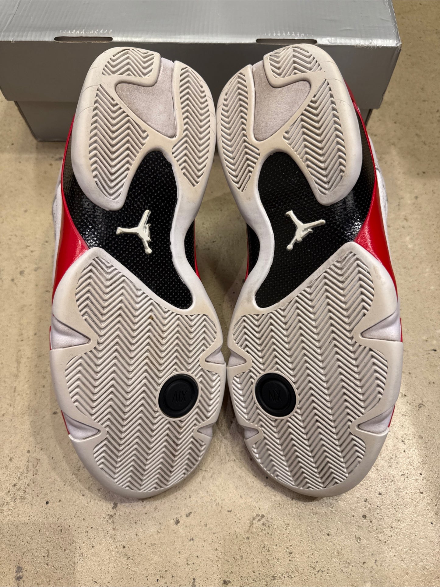 Jordan 14 Rip Hamilton