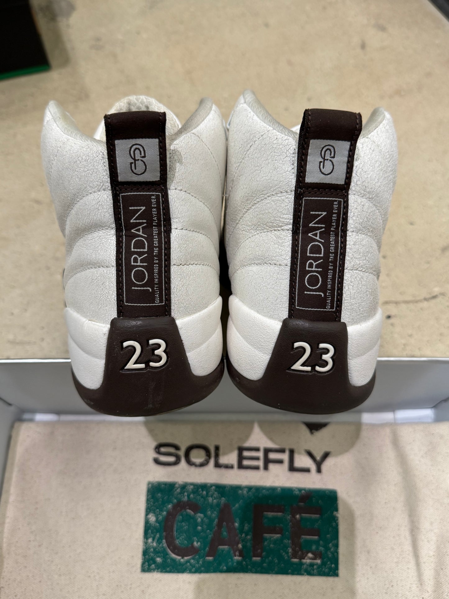 Jordan 12 Solefly