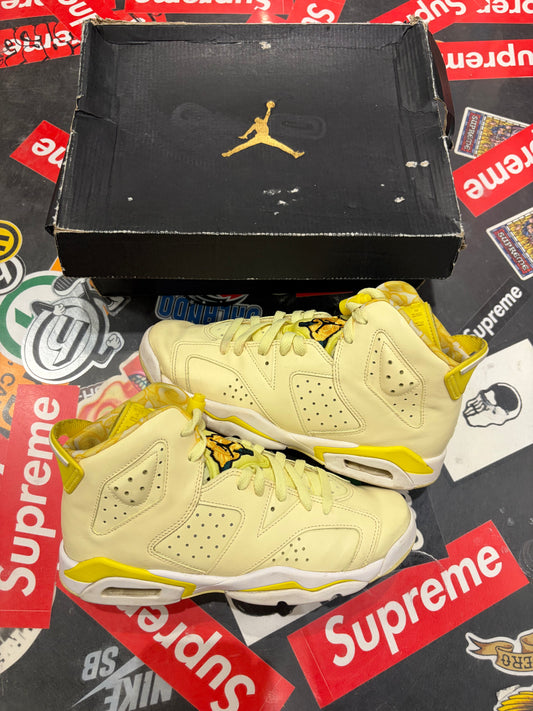 Jordan 6 Yellow Floral