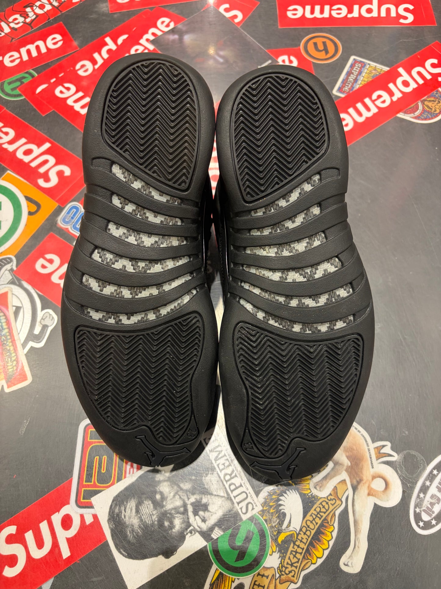 Jordan 12 Winterized
