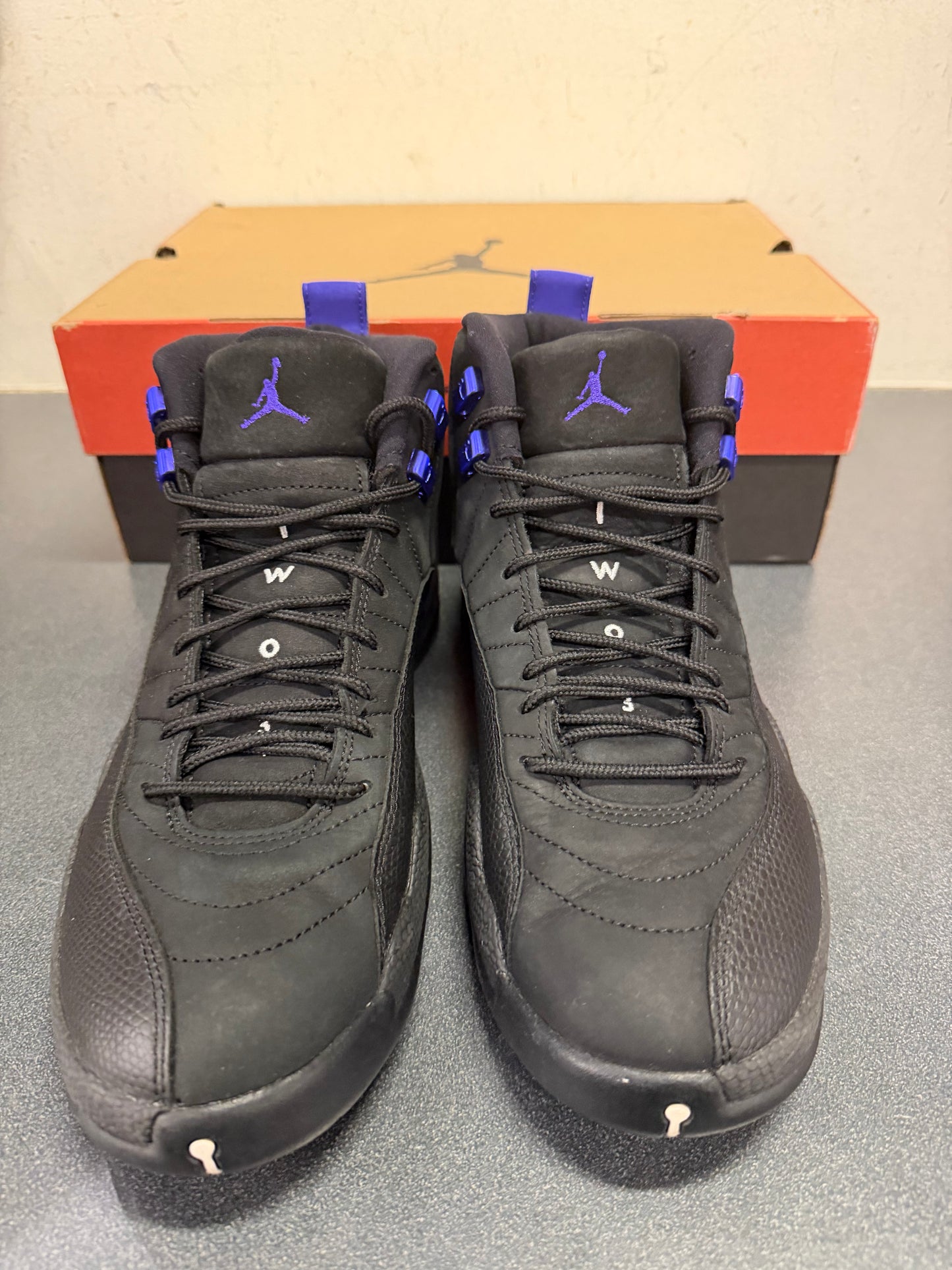 Jordan 12 Dark Concord