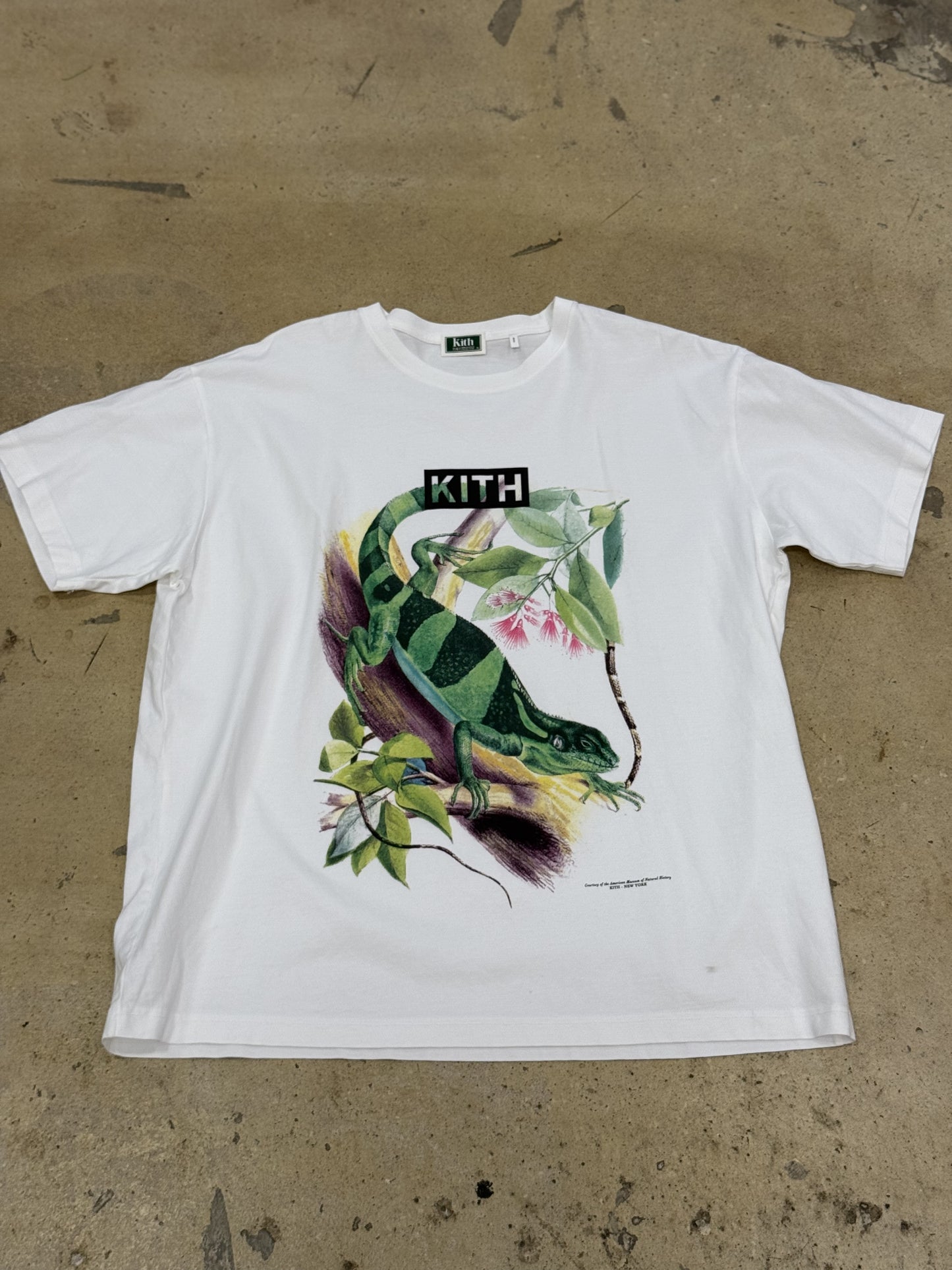 Kith Iguana Tee