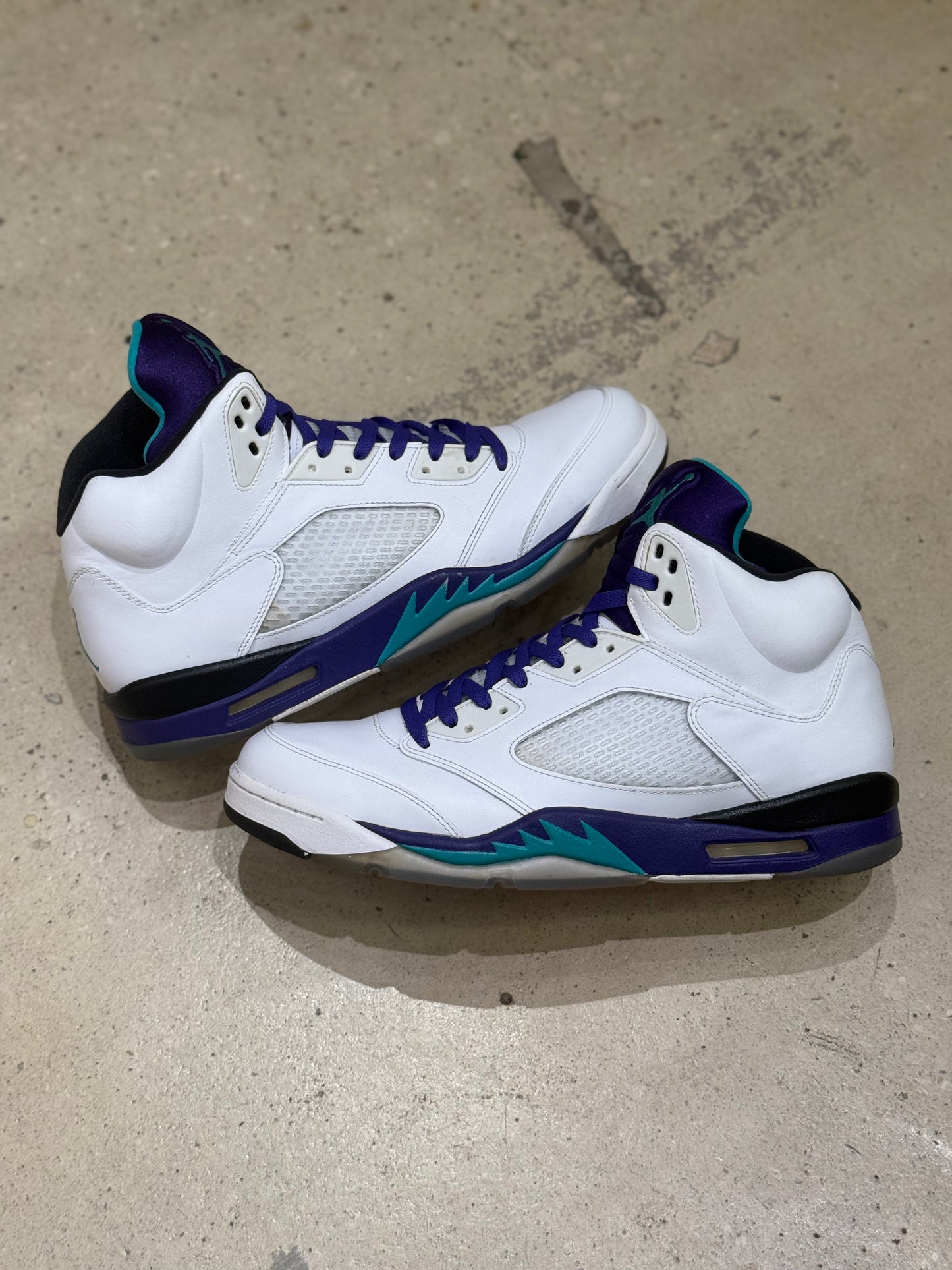 Jordan 5 Alternate Grape