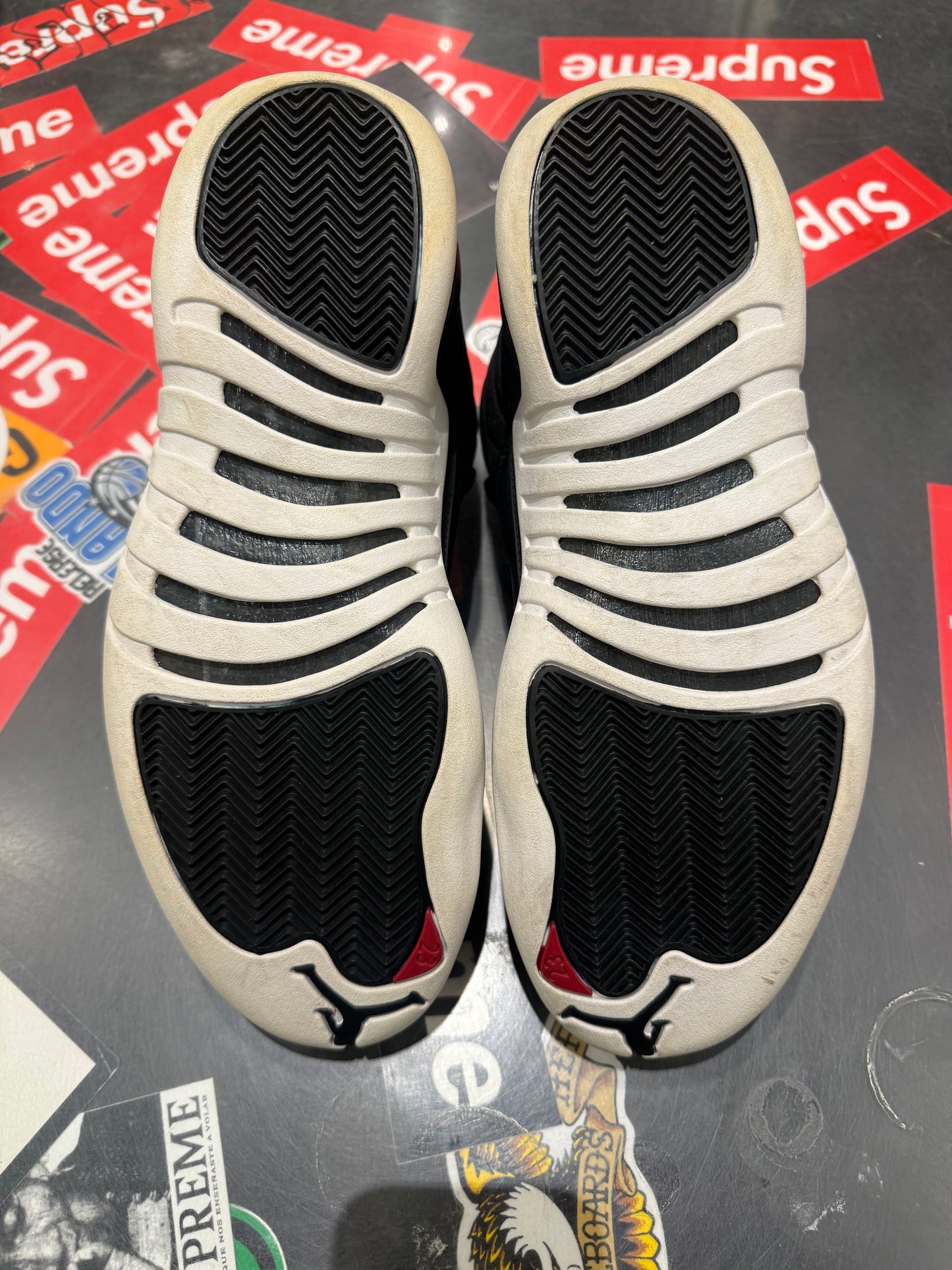 Jordan 12 Nylon