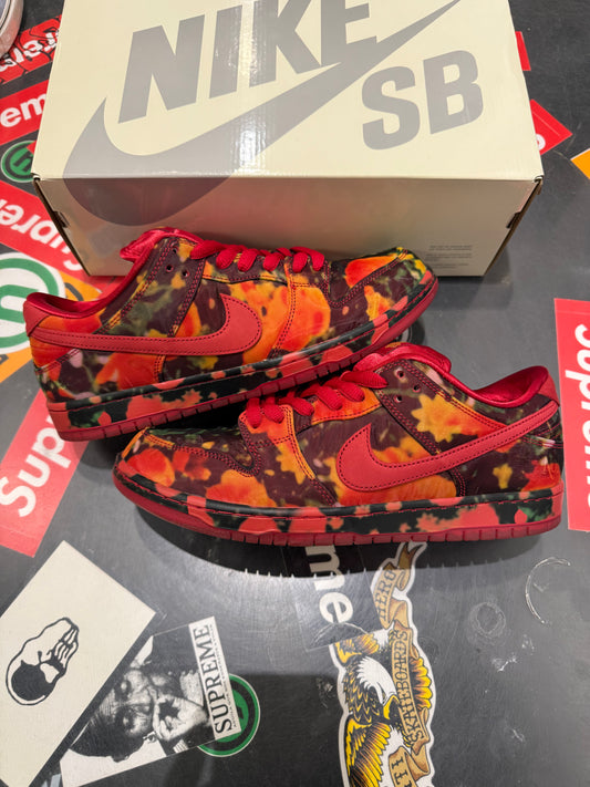 Dunk Low SB Wizard Of Oz