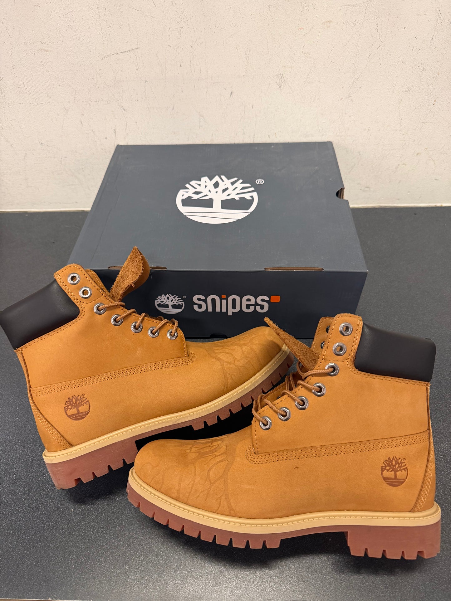 Timberland boot rooted in concrete