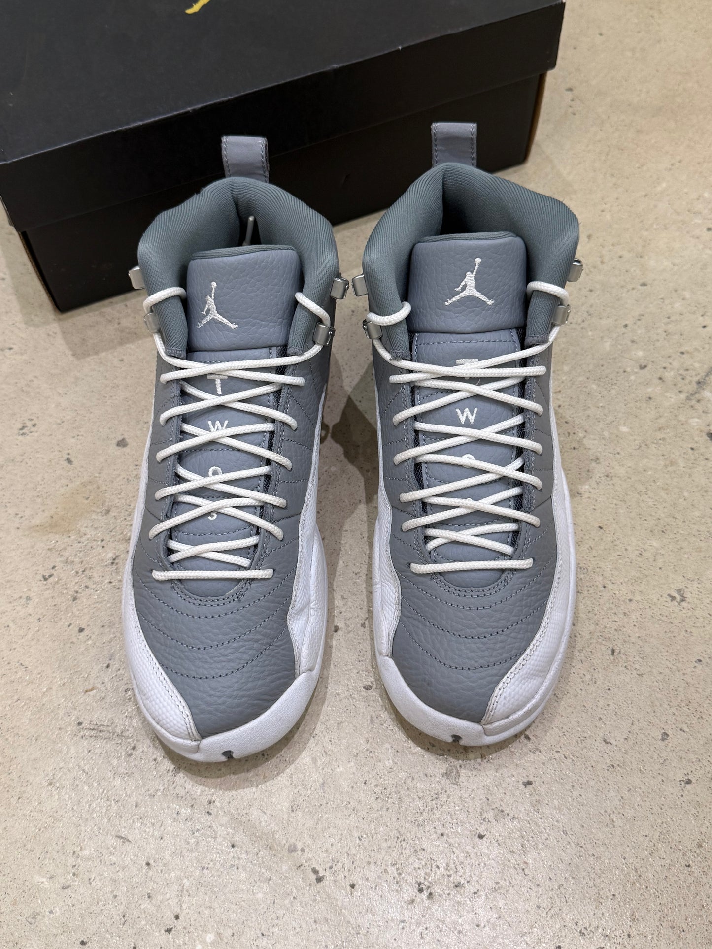 Jordan 12 Stealth