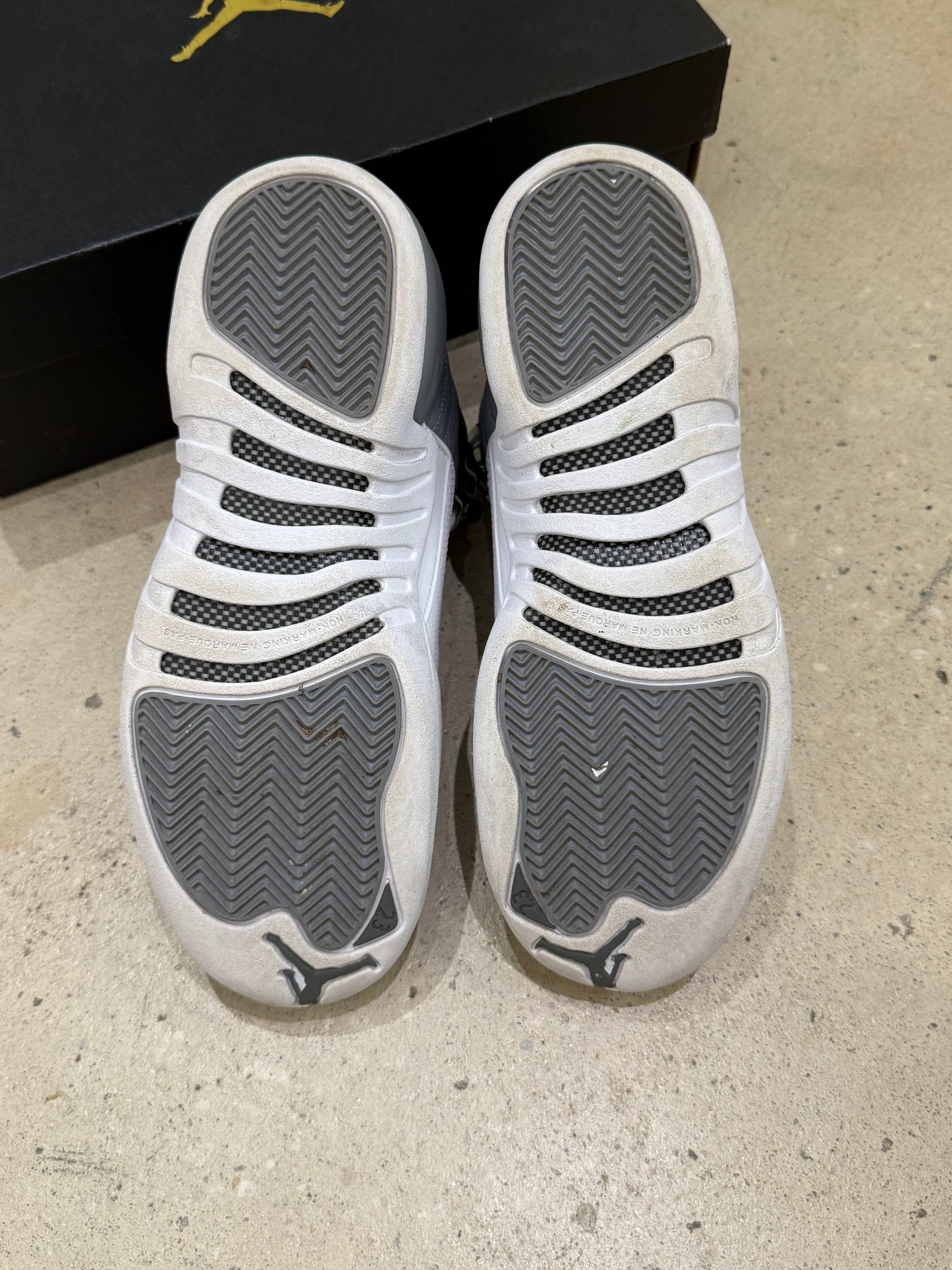 Jordan 12 Stealth