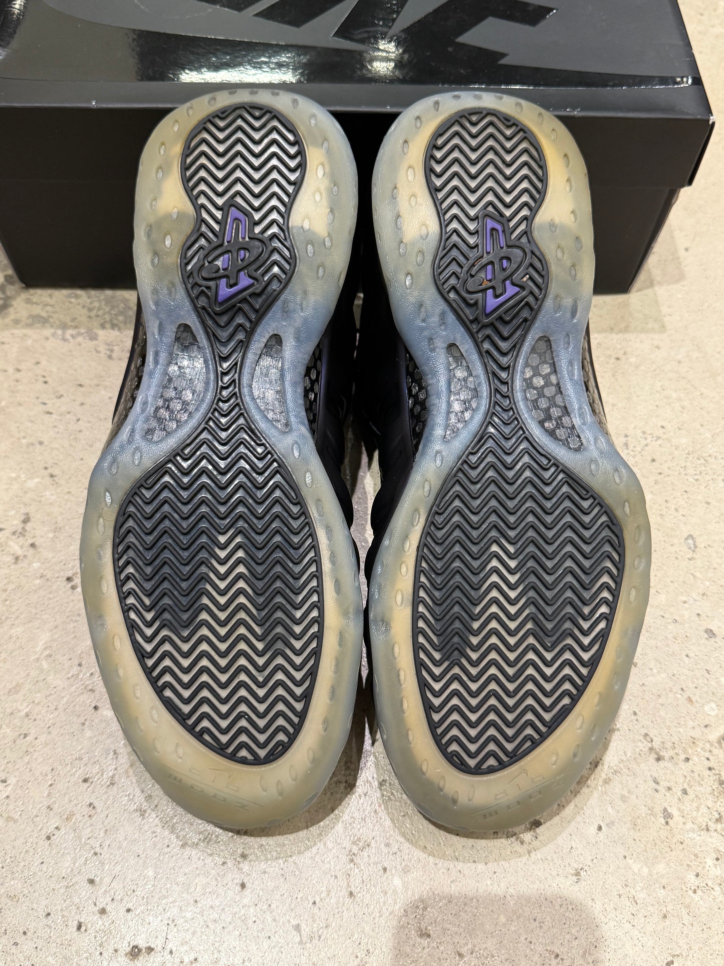 Foamposite Eggplant