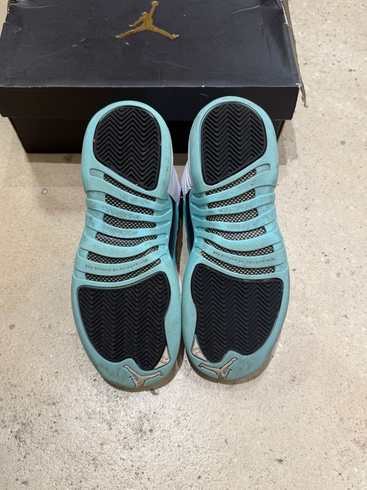 Jordan 12 Light Aqua