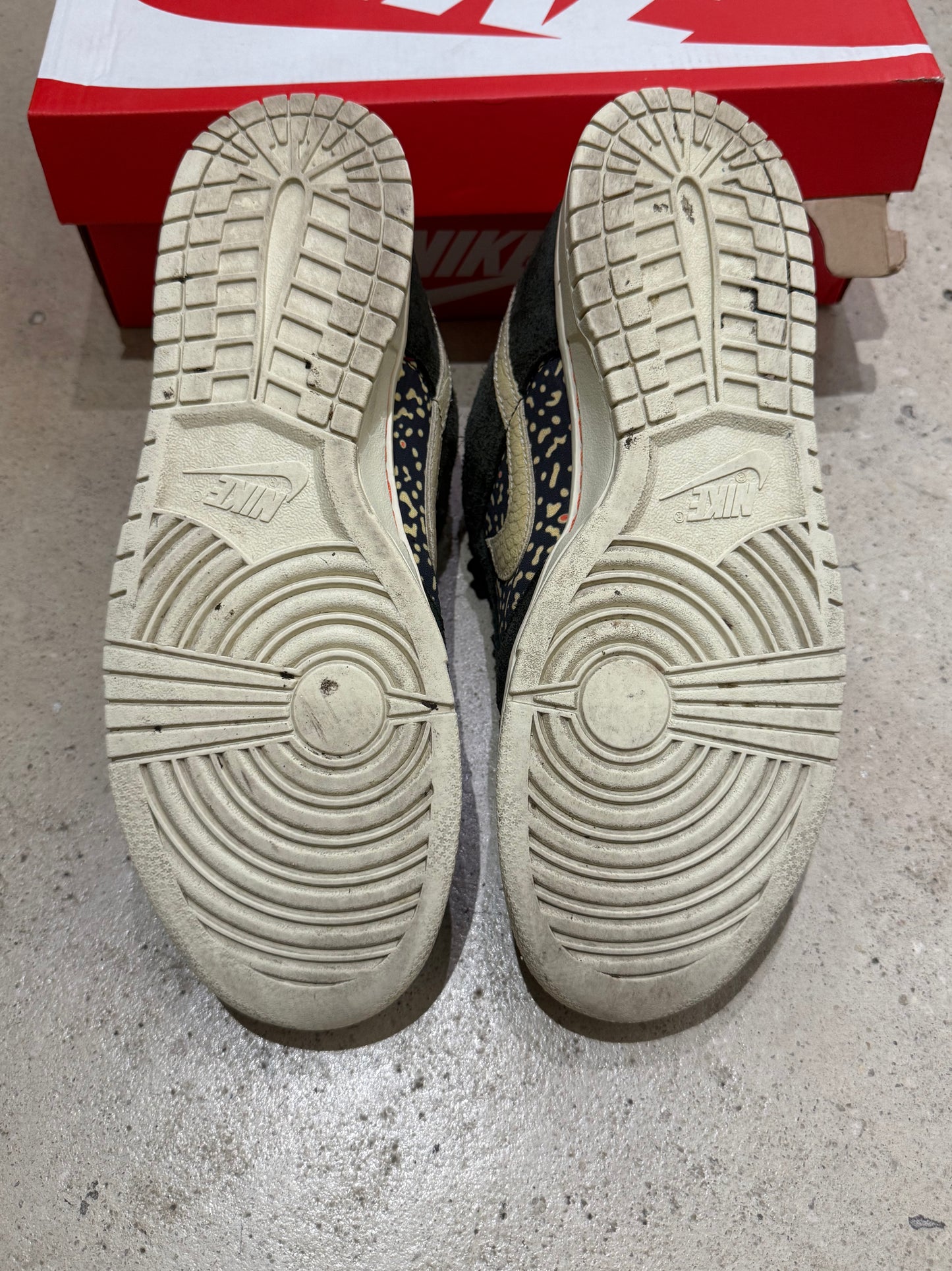 Dunk Low Gone Fishing Trout