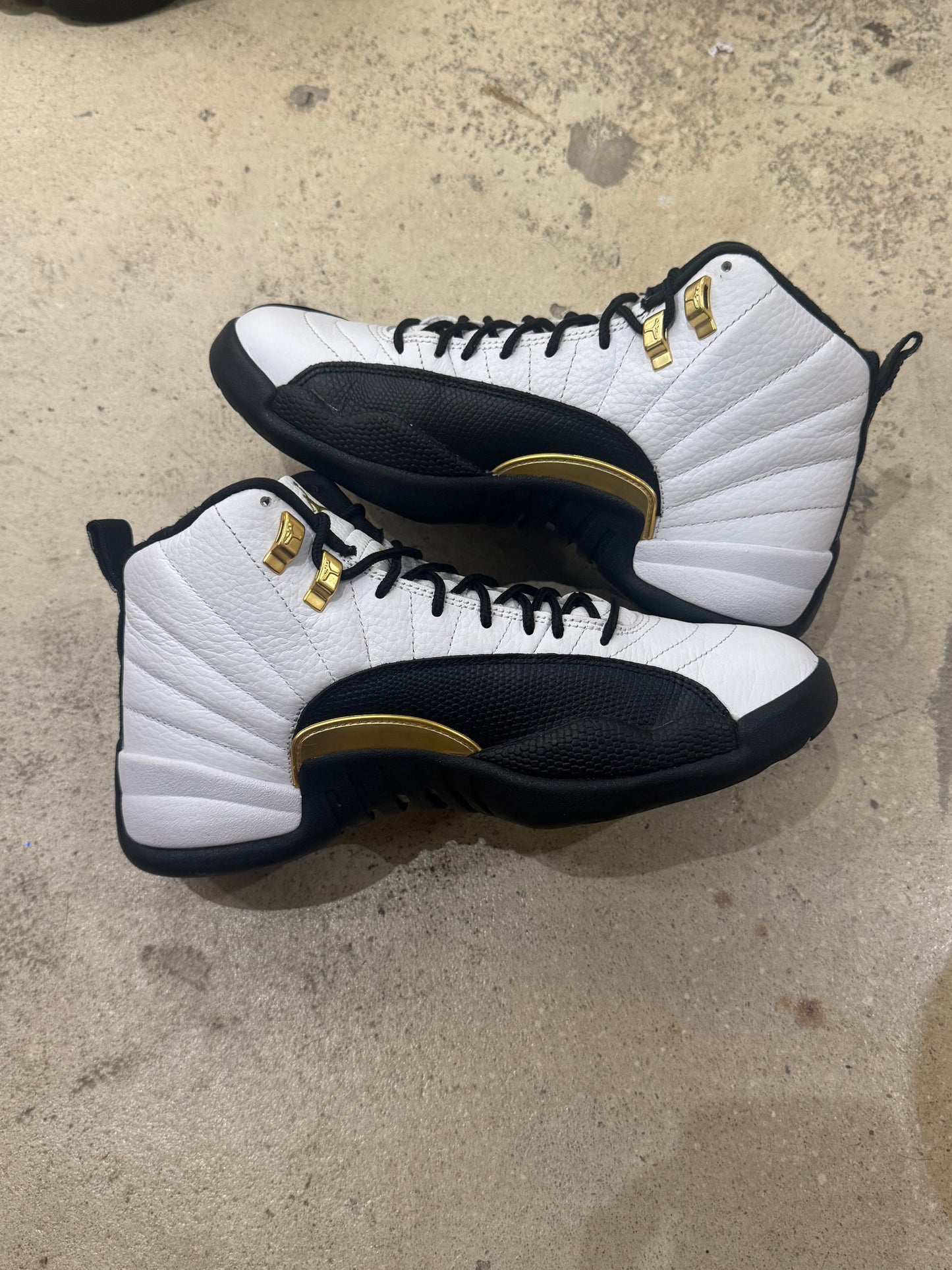 Jordan 12 Royalty Taxi