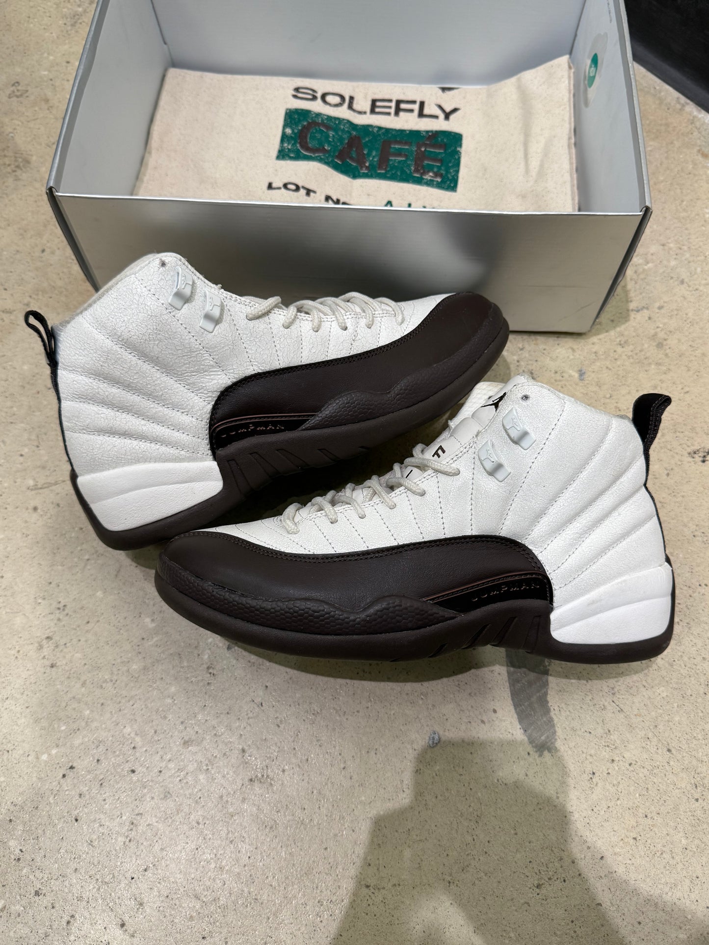 Jordan 12 Solefly