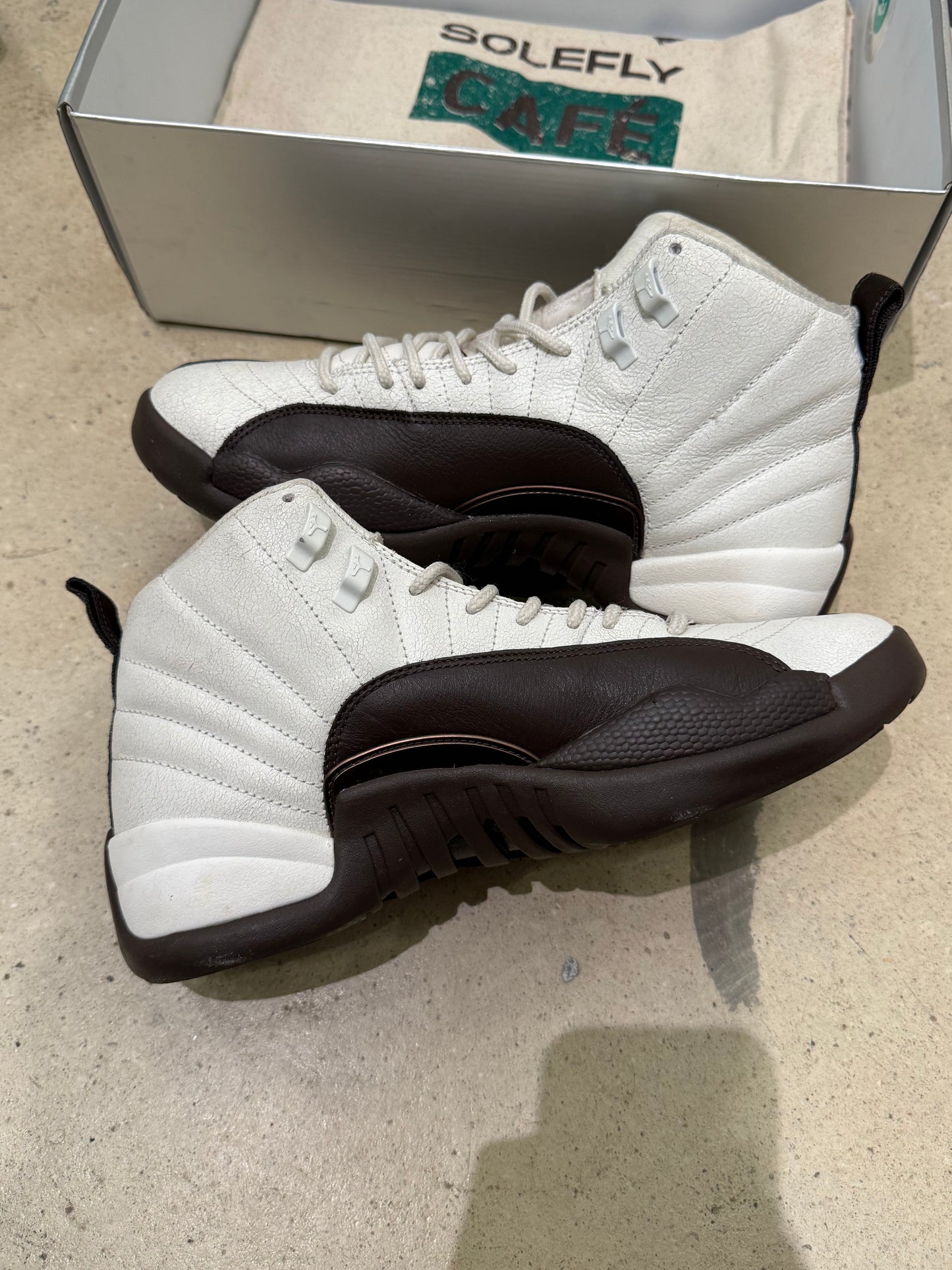Jordan 12 Solefly