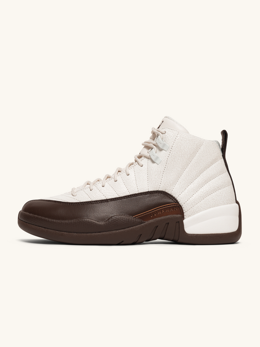 Jordan 12 SoleFly