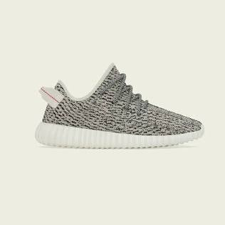 Yeezy 350 Turtle Dove