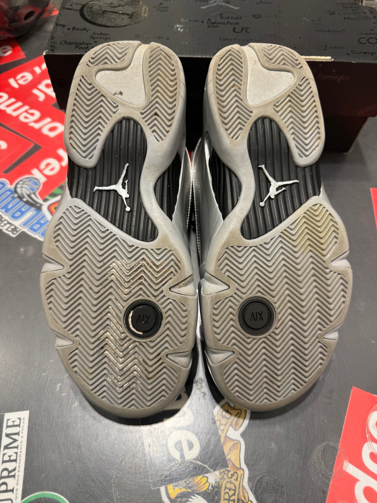Jordan 14 Metallic Silver (W)