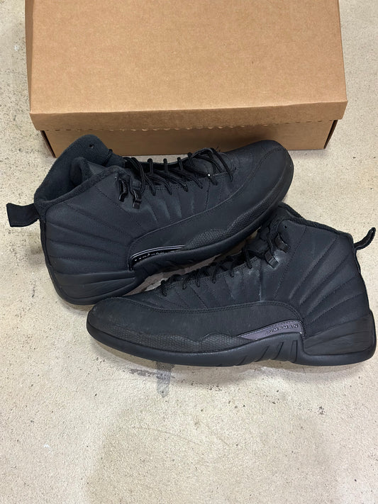 Jordan 12 Winterized Triple Black (Used)