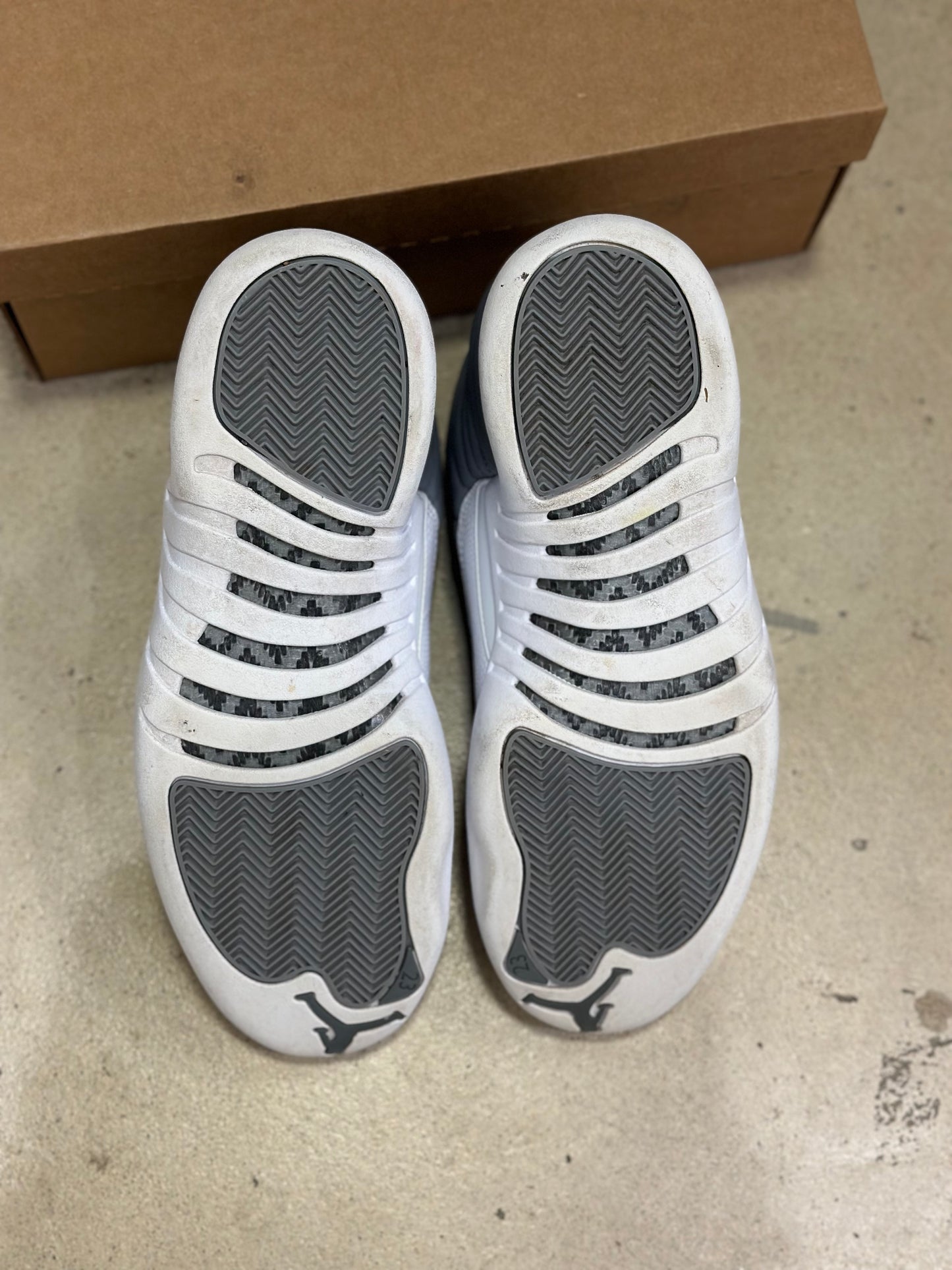 Jordan 12 Stealth (Used)