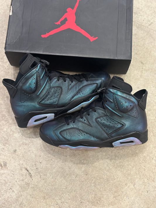 Jordan 6 Chameleon (Used)